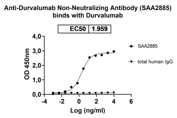 Anti-Durvalumab Non-Neutralizing Antibody