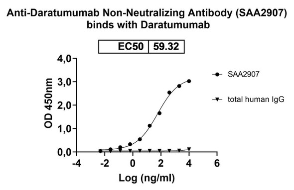 Anti-Daratumumab Non-Neutralizing Antibody