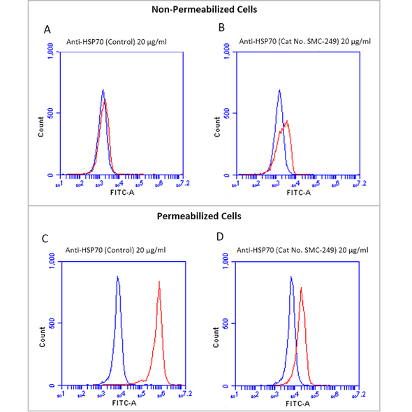 Fluorescence-activated cell sorting analysis using Mouse Anti-HSP70 Monoclonal Antibody, Clone 1H11 (STMA00072). Tissue: Jurkat E6.1 cells. Species: Human. Fixation: No fixation. Primary Antibody: Mouse Anti-HSP70 Monoclonal Antibody (STMA00072) at 20 µg/ml for 40 min at 4°C. Counterstain: Propidium Iodide nuclear stain at 2.5 µg/ml for 5 min at RT. Isotype Control: Anti-mouse FITC at 1:32 for 15 min at RT (blue line). Courtesy of: Dr.
