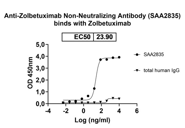 Zolbetuximab Non-Neutralizing Antibody - Bioactivity-binding