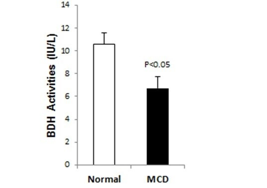 beta-Hydroxybutyrate Dehydrogenase Assay Kit