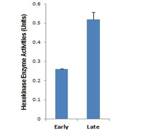 Hexokinase/Glucokinase Assay Kit