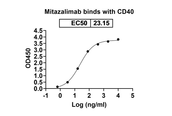 Mitazalimab Antibody - bioactivity-binding