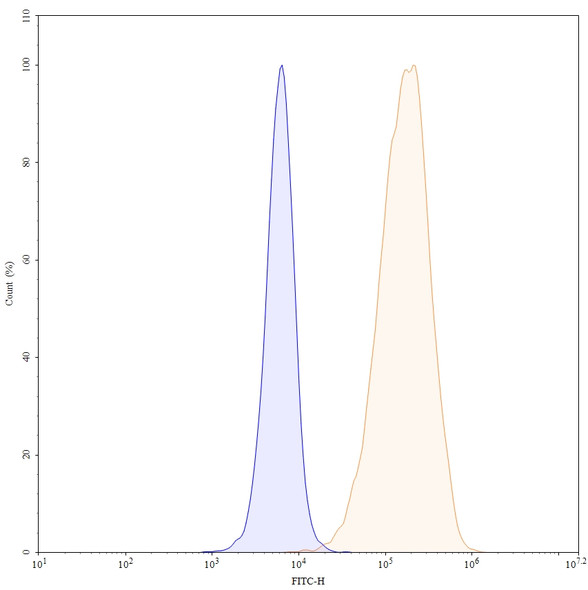Tepoditamab Antibody - flow