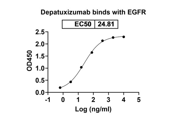 Depatuxizumab Antibody (Depatuxizumab Mafodotin ADC, Payload-Free) - bioactivity-binding