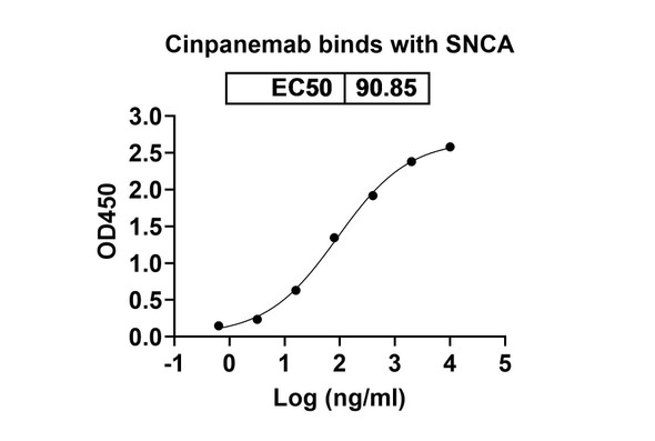 Cinpanemab Antibody - bioactivity-binding