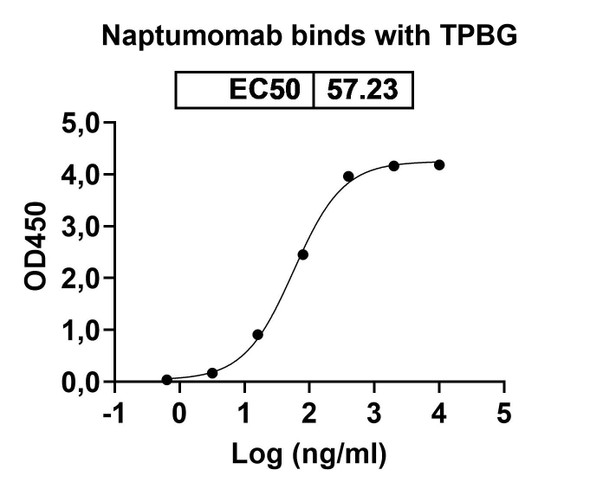 Naptumomab Antibody - bioactivity-binding