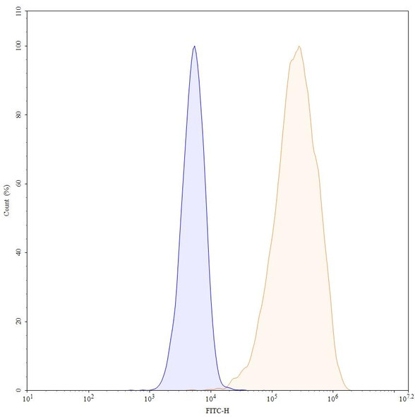 Tidutamab Antibody - flow