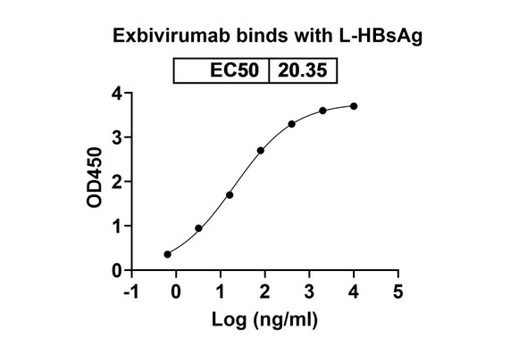 Exbivirumab Antibody - bioactivity-binding