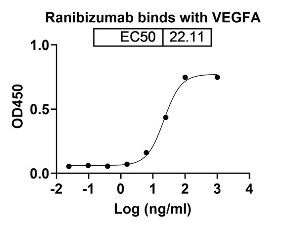 Ranibizumab Antibody - bioactivity-binding