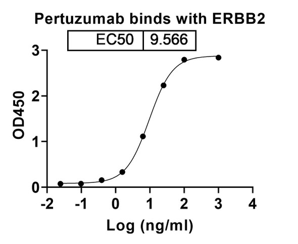 Pertuzumab Antibody - bioactivity-binding