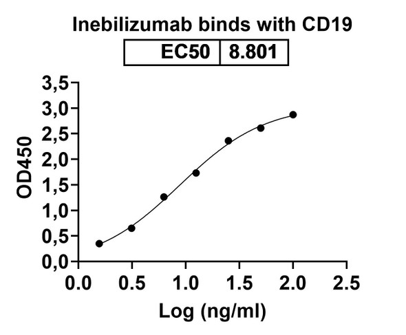 Inebilizumab Antibody - bioactivity-binding