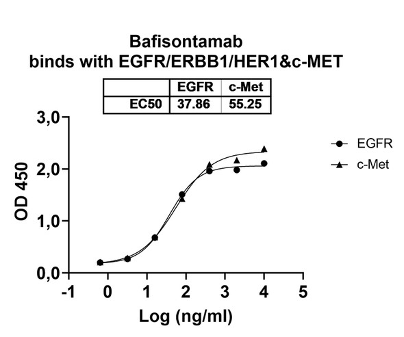 Bafisontamab Antibody - Bioactivity-binding