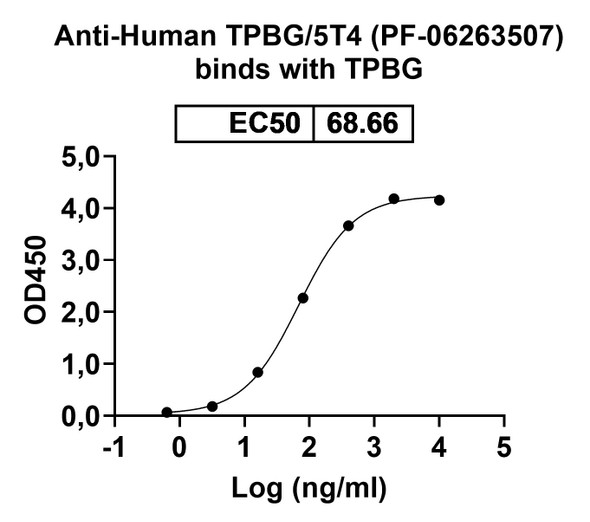 Human TPBG/5T4 (PF-06263507) Antibody (ADC, Payload-Free) - bioactivity-binding