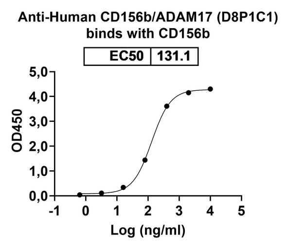 Human CD156b/ADAM17 (D8P1C1) Antibody - bioactivity-binding
