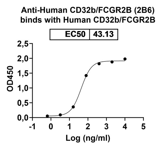 Human CD32b/FCGR2B (2B6) Antibody - bioactivity-binding