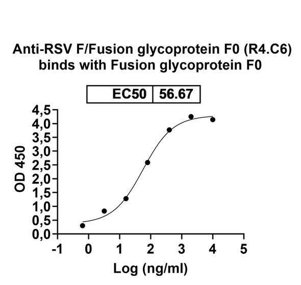 Anti-RSV F/Fusion glycoprotein F0 (R4.C6) Antibody - Bioactivity-binding