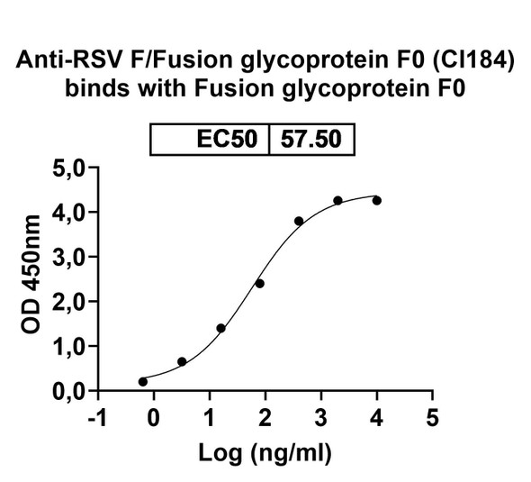 Anti-RSV F/Fusion glycoprotein F0 (Cl184) Antibody - Bioactivity-binding