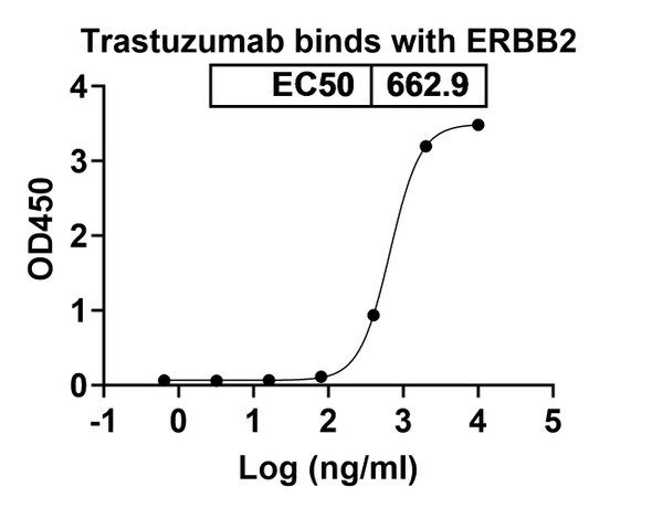 Trastuzumab Antibody - bioactivity-binding