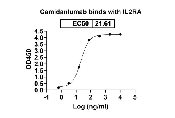 Camidanlumab Antibody (Camidanlumab Tesirine ADC, Payload-Free) - bioactivity-binding