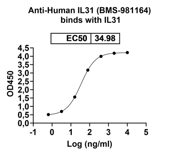 Human IL31 (BMS-981164) Antibody - bioactivity-binding