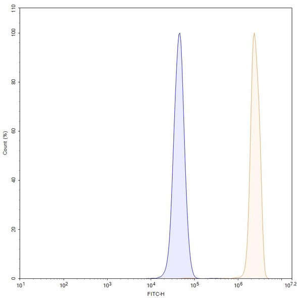 Human MMP14 (KD014) Antibody - flow