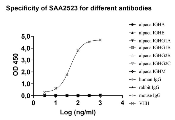 Human CD73/NT5E (BMS-986179) Antibody - Bioactivity-binding