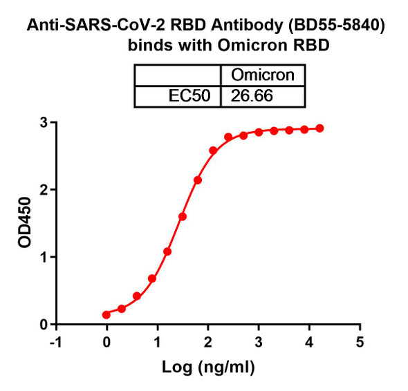 Anti-SARS-CoV-2 RBD Antibody (BD55-5840) - bioactivity-binding