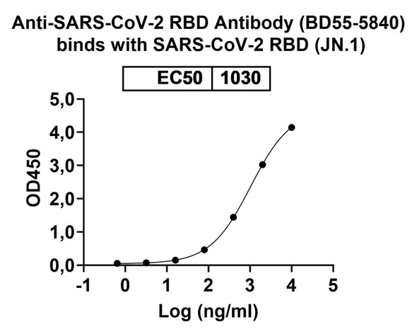 Anti-SARS-CoV-2 RBD Antibody (BD55-5840) - bioactivity-binding