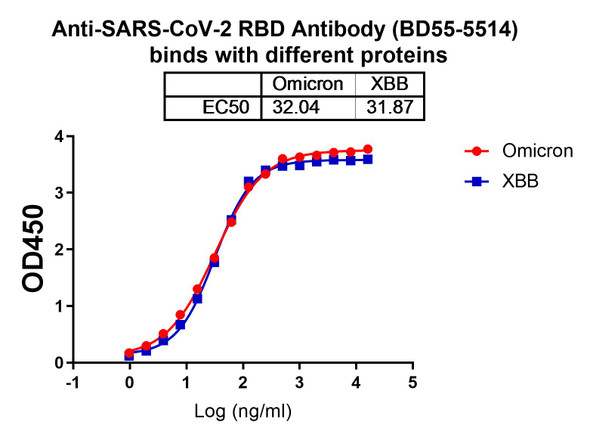 Anti-SARS-CoV-2 RBD Antibody (BD55-5514) - bioactivity-binding