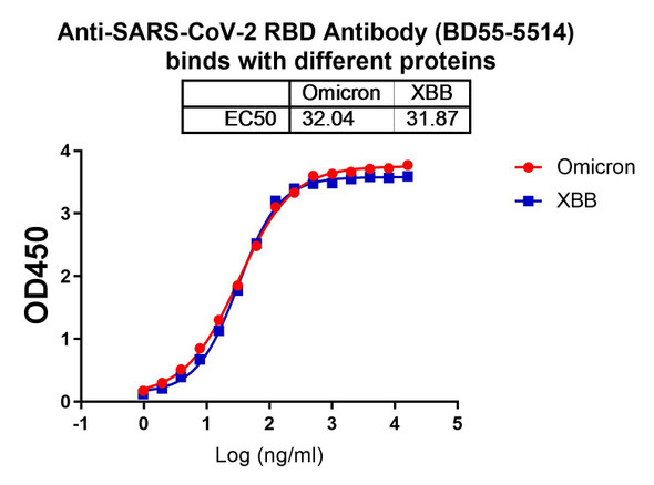 Anti-SARS-CoV-2 RBD Antibody (BD55-5514) - bioactivity-binding
