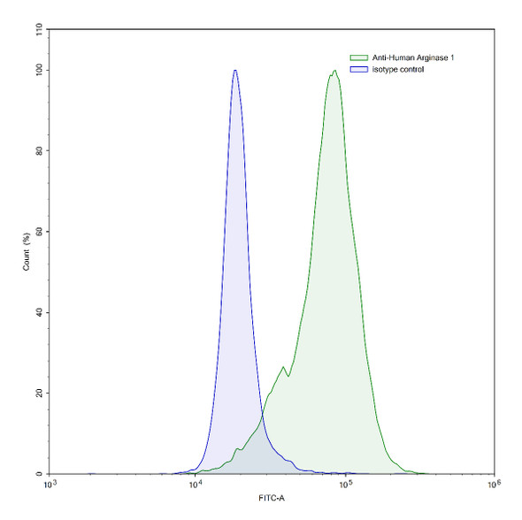 Anti-Human ARG1/Arginase-1 Monoclonal In Vivo Antibody - Low Endotoxin (Iv0120) - flow