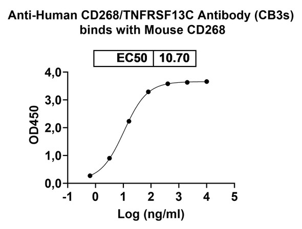 Anti-Human CD268/TNFRSF13C Monoclonal In Vivo Antibody - Low Endotoxin (CB3s) - bioactivity-binding