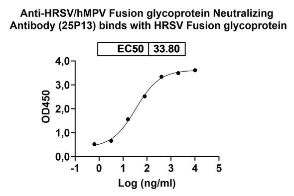 Anti-HRSV/hMPV Fusion glycoprotein Neutralizing Monoclonal In Vivo Antibody - Low Endotoxin (25P13) - bioactivity-binding