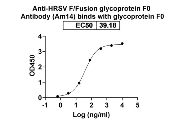 Anti-HRSV F/Fusion glycoprotein F0 Recombinant Monoclonal Antibody (Am14) - bioactivity-binding