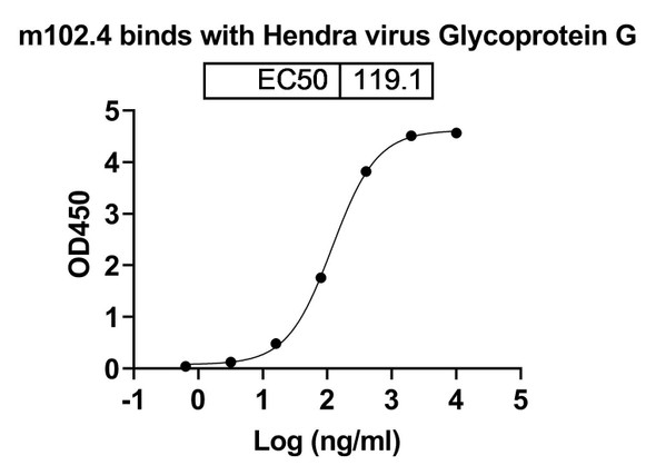 Anti-HeV/NiV Glycoprotein G Recombinant Monoclonal Antibody (m102.4) - bioactivity-binding