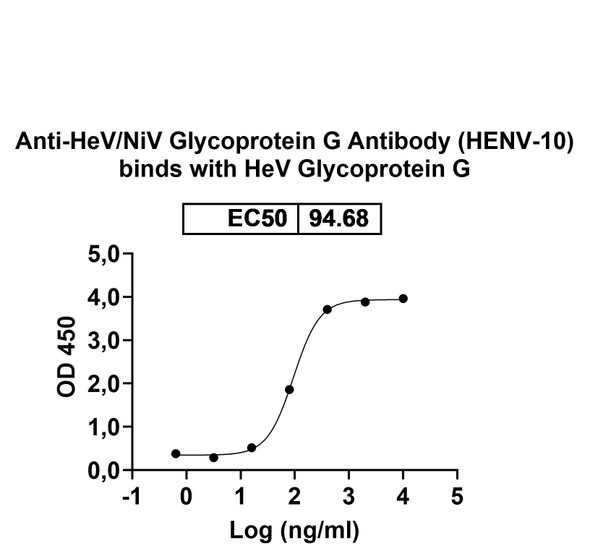 Anti-HeV/NiV Glycoprotein G Recombinant Monoclonal Antibody (HENV-10) - Bioactivity-binding