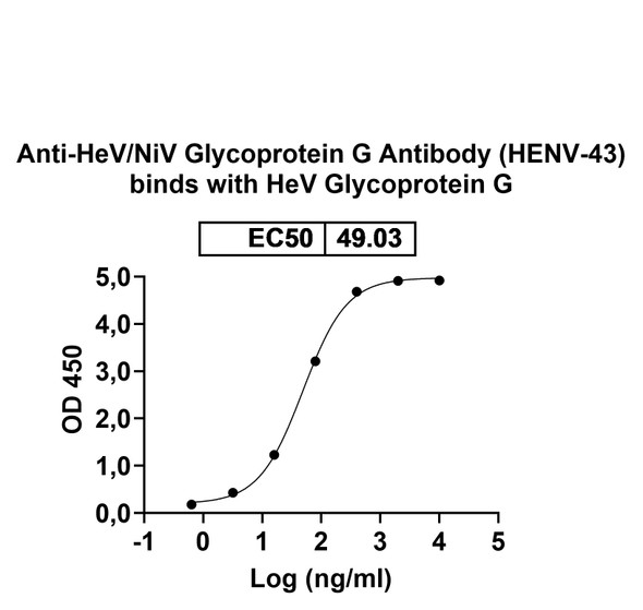 Anti-HeV/NiV Glycoprotein G Recombinant Monoclonal Antibody (HENV-43) - Bioactivity-binding
