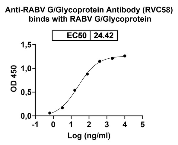 Anti-RABV G/Glycoprotein Recombinant Monoclonal Antibody (RVC58) - Bioactivity-binding