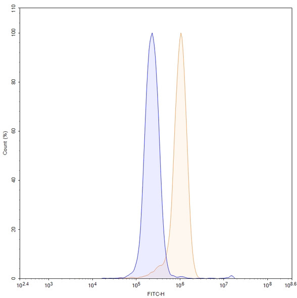 Anti-Mouse MMP3 Recombinant Monoclonal Antibody (CH01) - flow