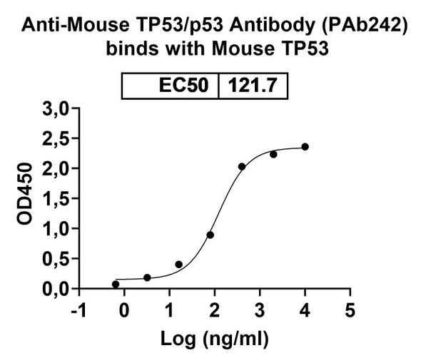 Anti-Mouse TP53/p53 Recombinant Monoclonal Antibody (PAb242) - bioactivity-binding