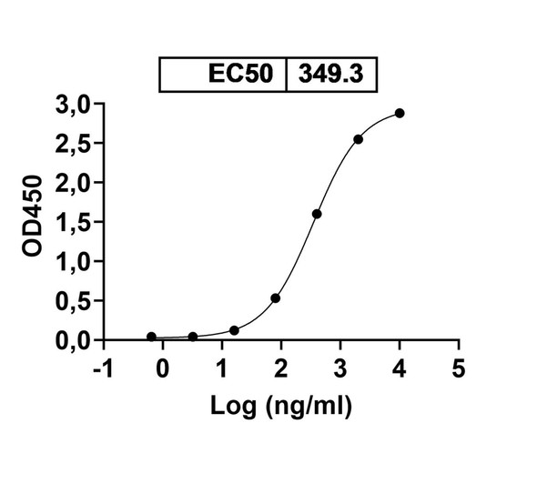 Anti-Vibrio cholerae ctxB/Cholera Toxin Subunit B Recombinant Monoclonal Antibody (TE33) - bioactivity-binding