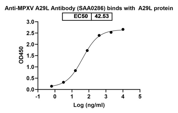 Mouse Anti-Monkeypox virus/MPXV A29L Recombinant Monoclonal Antibody (SAA0286) - bioactivity-binding
