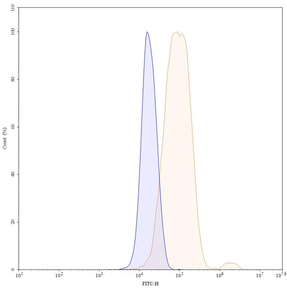 Anti-Phospho-Tau (pS396/pS404) Recombinant Monoclonal Antibody (SAA0295) - flow