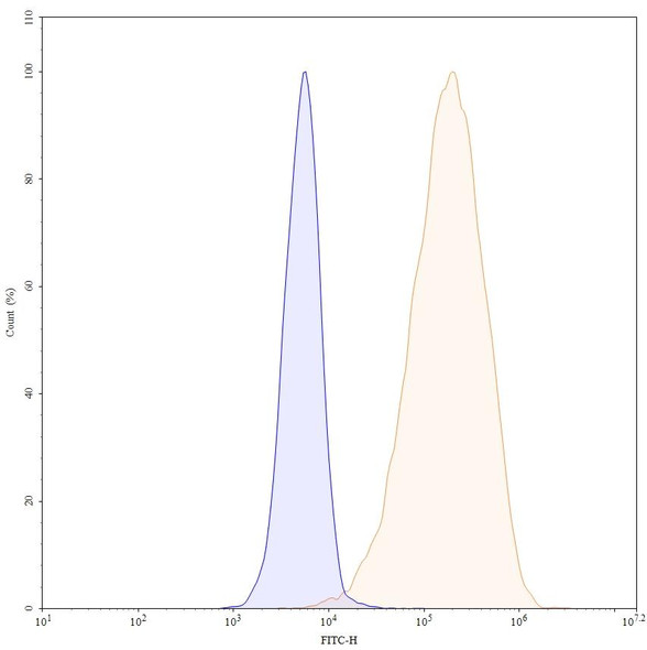 Anti-Human SSTR2/SRIF-1 Recombinant Monoclonal Antibody (18087) - flow