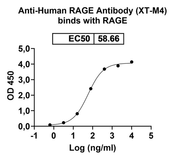 Anti-Human RAGE Recombinant Monoclonal Antibody (XT-M4) - Bioactivity-binding