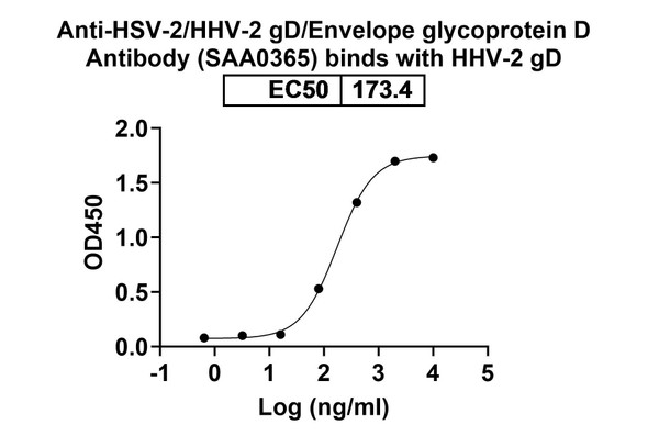 Anti-HSV-2/HHV-2 gD/Envelope glycoprotein D Recombinant Monoclonal Antibody (SAA0365) - bioactivity-binding