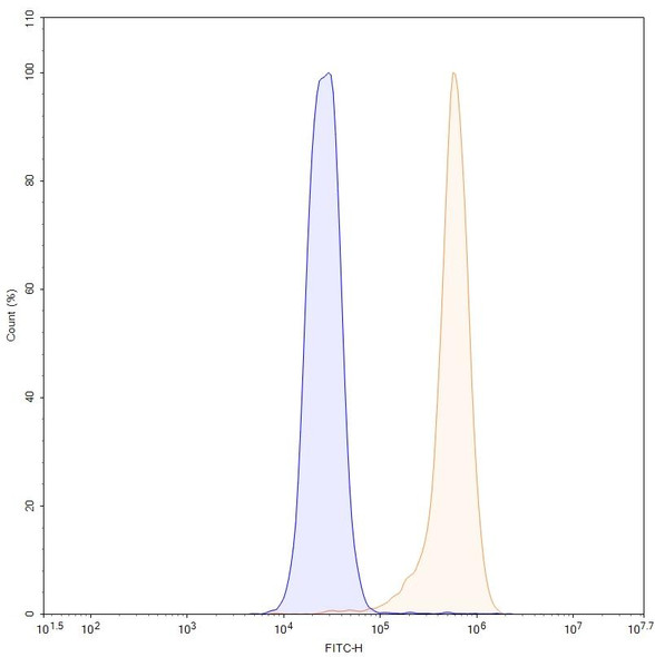 Anti-Human FN1/Fibronectin Recombinant Monoclonal Antibody (SAA0522) - flow