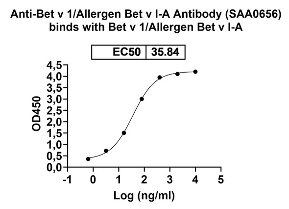 Anti-Bet v 1/Allergen Bet v I-A Recombinant Monoclonal Antibody (SAA0656) - bioactivity-binding