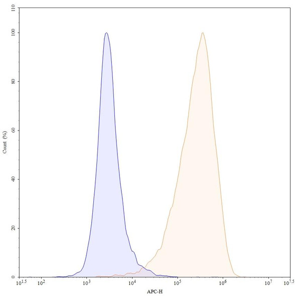 Anti-Human GPRC5D Recombinant Monoclonal Antibody (SAA0764) - flow